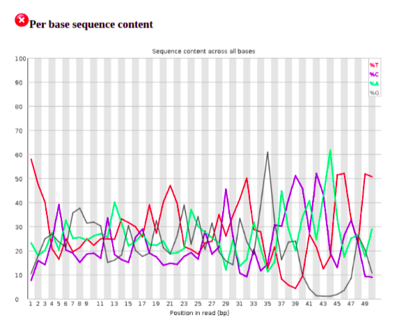 per base sequence content