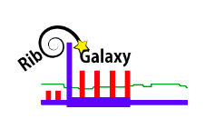 Ribogalaxy Icon